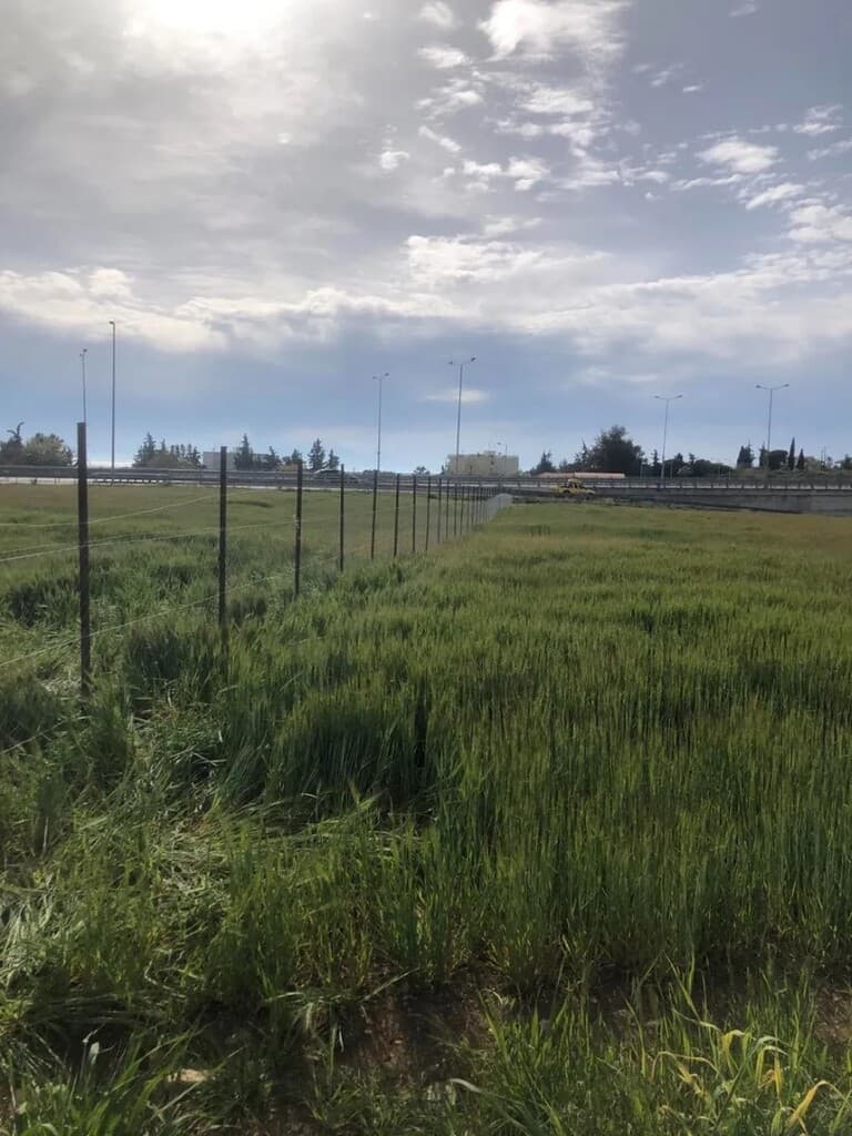 For Sale Land 3221 m² in Chalkidiki