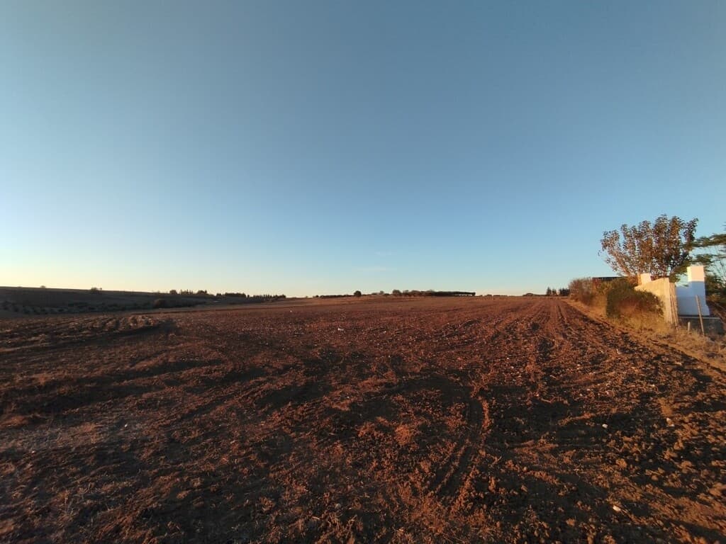 For Sale Land 6000 m² in the suburbs of Thessaloniki