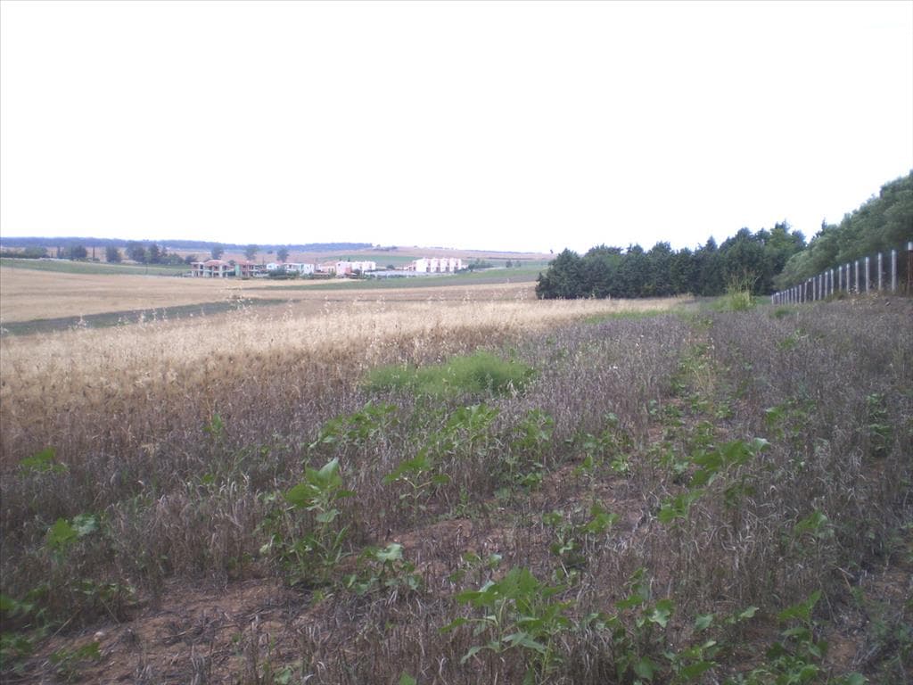 For Sale Land 4370 m² in Kassandra, Chalkidiki