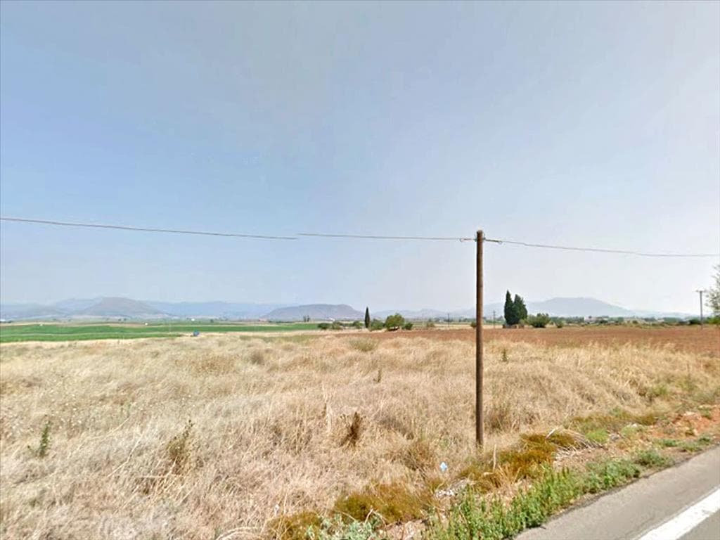 For Sale Land 6000 m² in central Greece