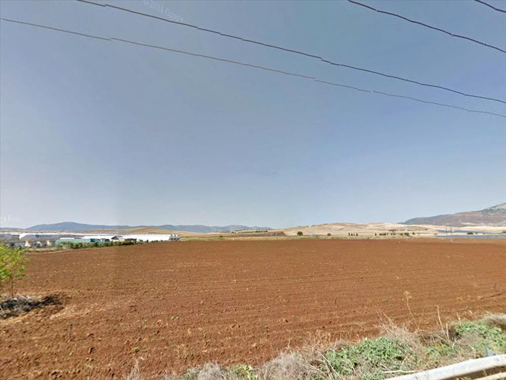 For Sale Land 13000 m² in central Greece