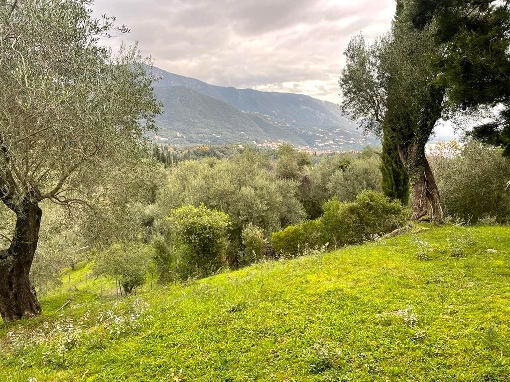 For Sale Land 2463 m² in Corfu