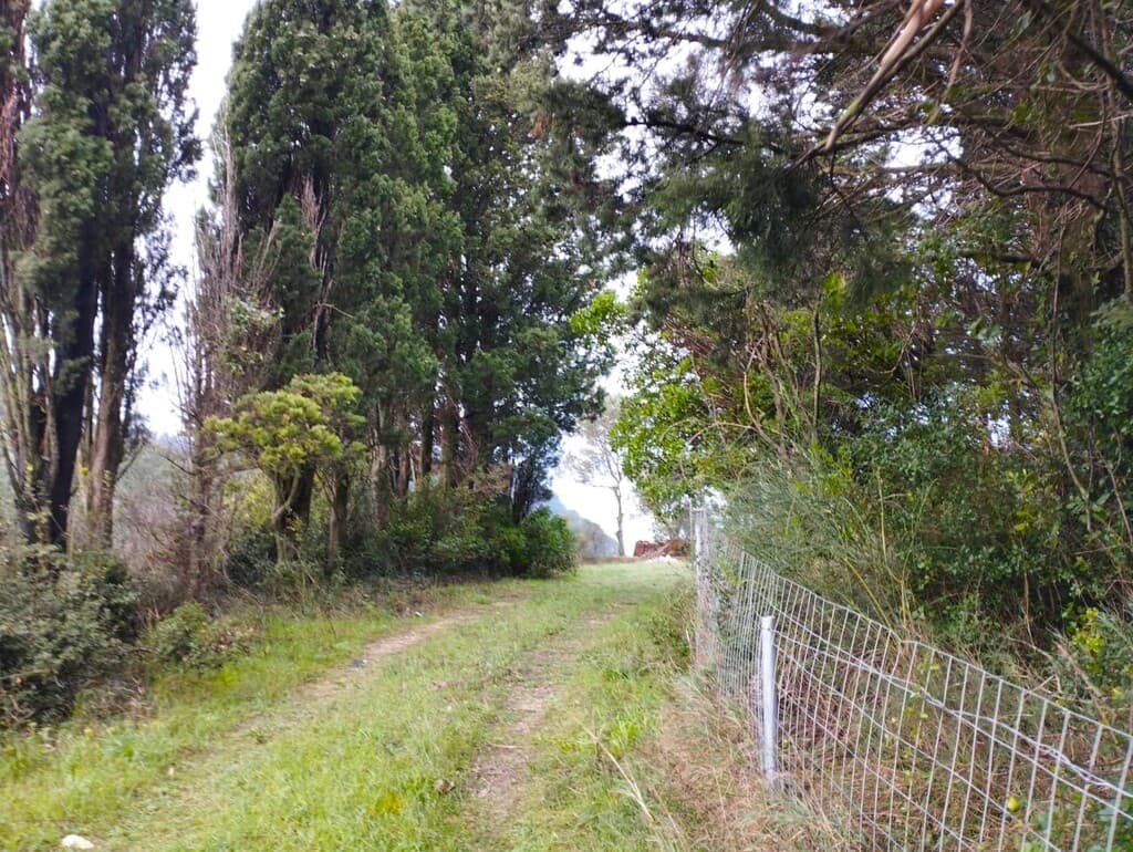 For Sale Land 5002 m² in Corfu
