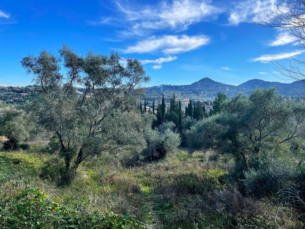 For Sale Land 8781 m² in Corfu