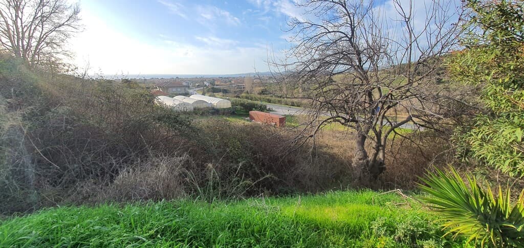 For Sale Land 2600 m² in Sithonia, Chalkidiki
