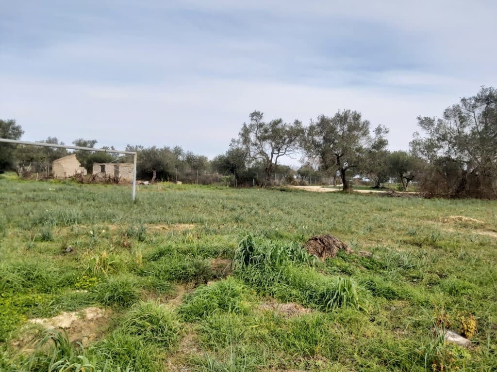 For Sale Land 2078 m² in Corfu