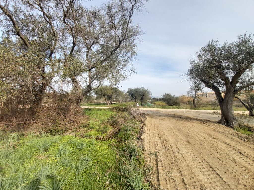 For Sale Land 2078 m² in Corfu
