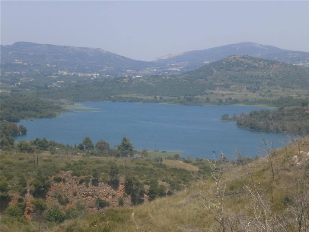 For Sale Land 4000 m² in Athens