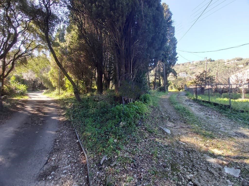 For Sale Land 2770 m² in Corfu