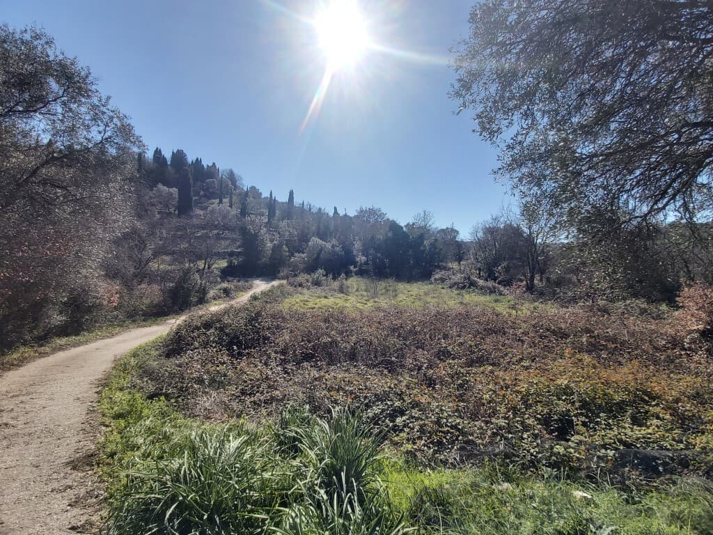For Sale Land 1880 m² in Corfu