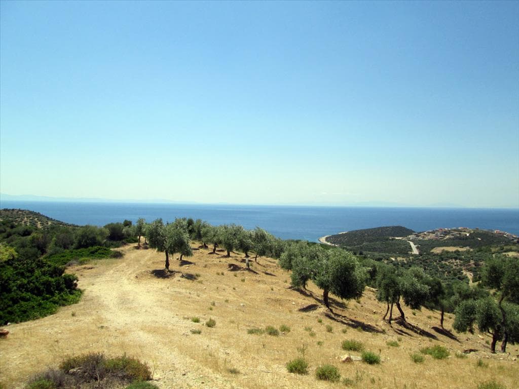 For Sale Land 12000 m² on the island of Thassos