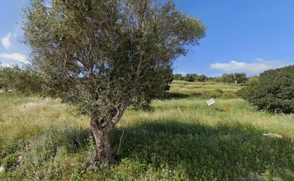 For Sale Land 4150 m² in Zante