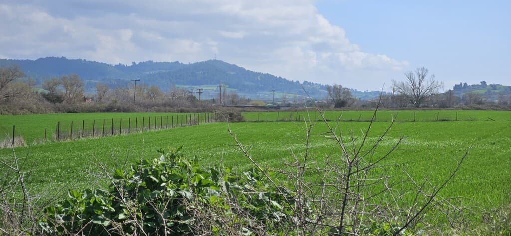 For Sale Land 4625 m² in Kassandra, Chalkidiki