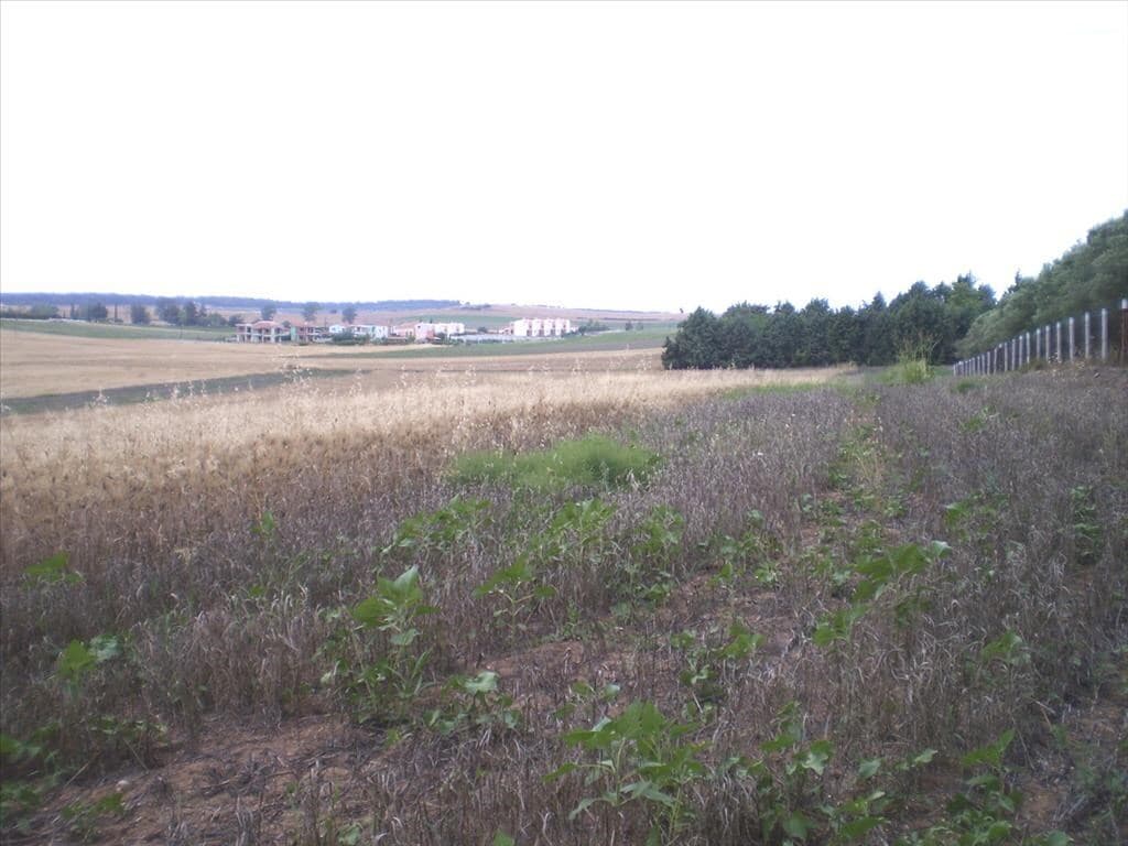 For Sale Land 4370 m² in Kassandra, Chalkidiki