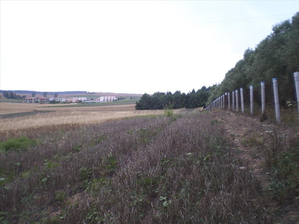 For Sale Land 4370 m² in Kassandra, Chalkidiki