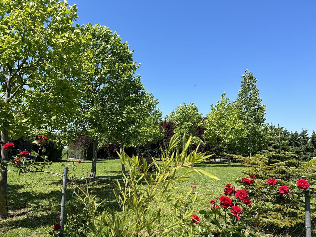 For Sale Land 14825 m² on the Olympic Coast