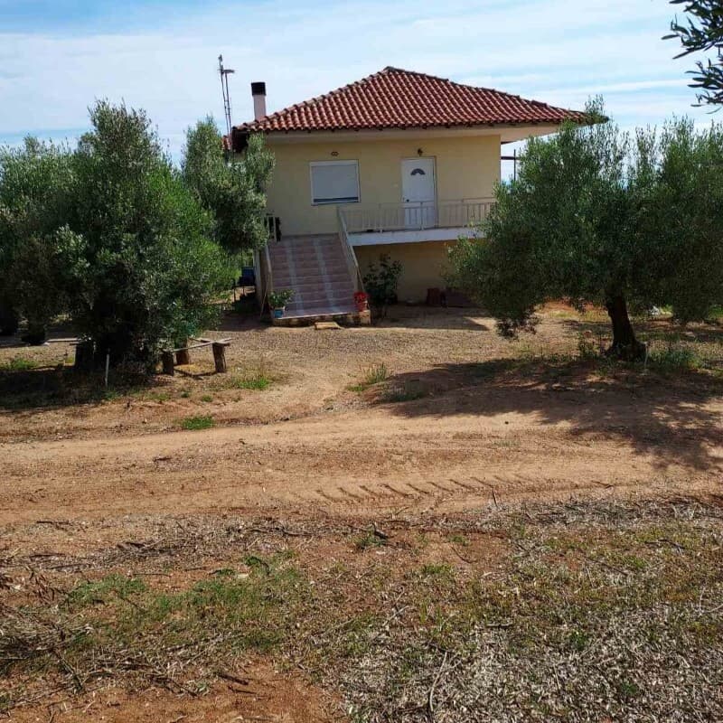 For Sale Detached house 150 m² in Chalkidiki