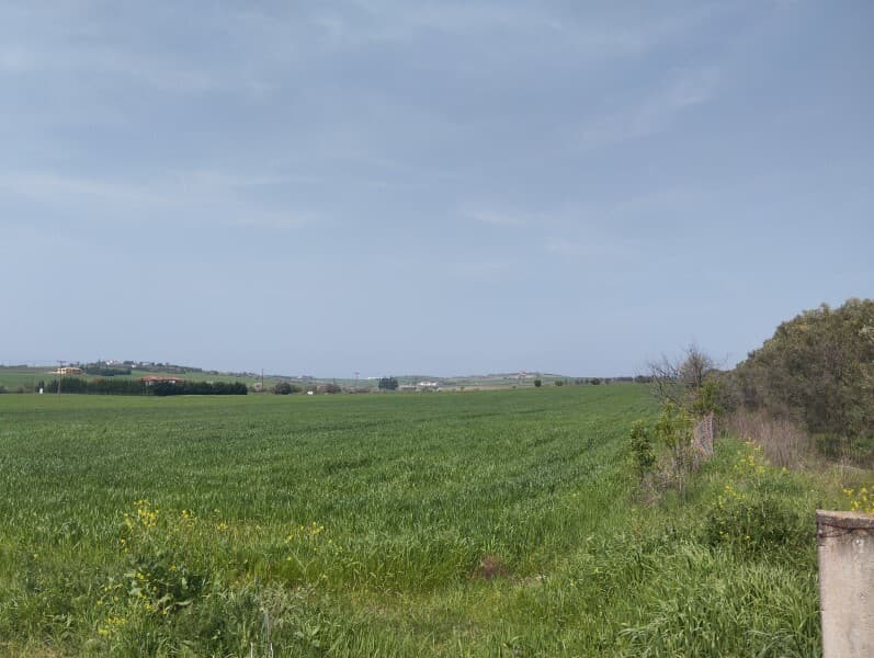 For Sale Land 5881 m² in the suburbs of Thessaloniki
