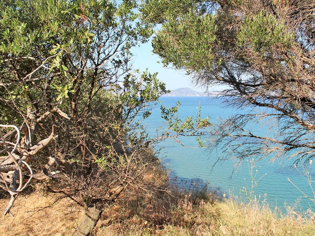 For Sale Land 4500 m² in Zante
