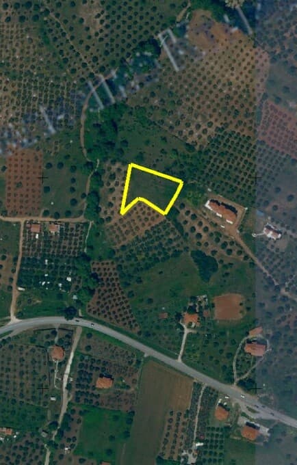 For Sale Land 4000 m² in Sithonia, Chalkidiki