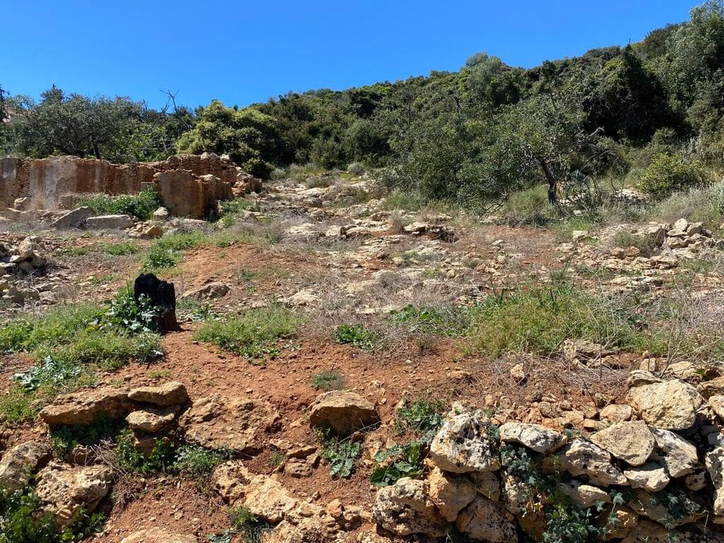For Sale Land 2035 m² in Crete