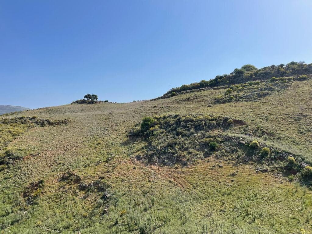 For Sale Land 25000 m² in Crete