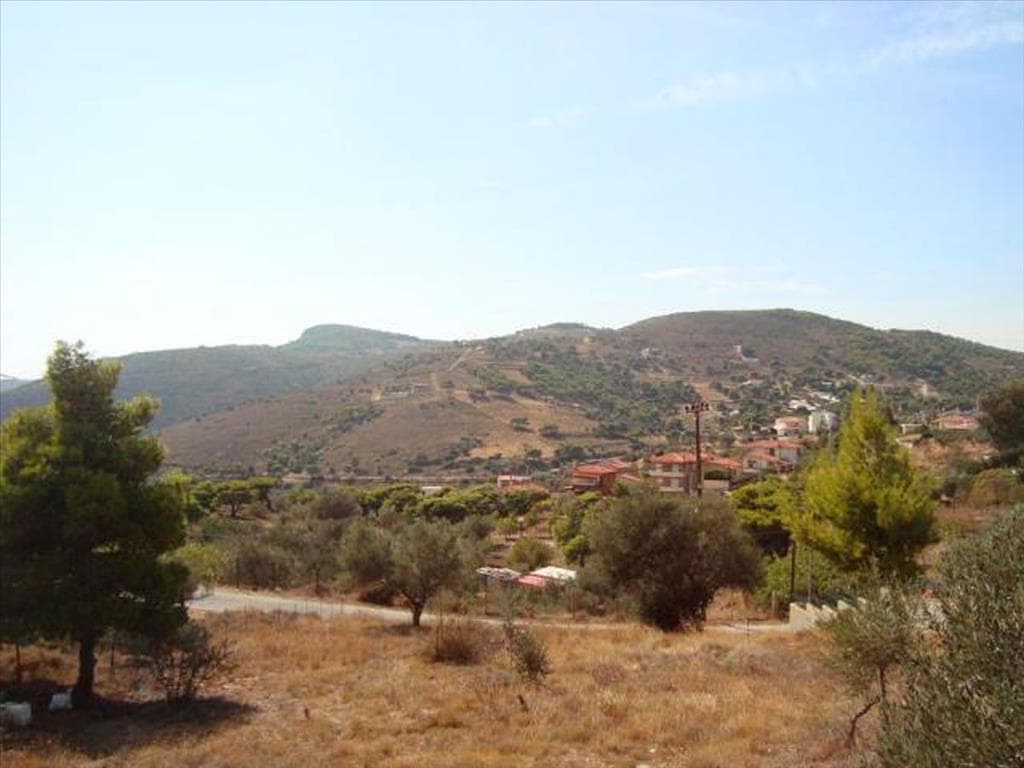 For Sale Land 9780 m² in Attica