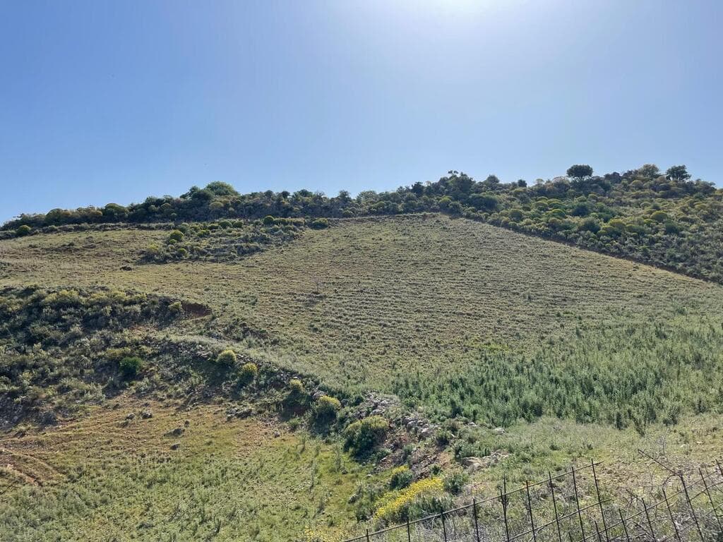 For Sale Land 10000 m² in Crete