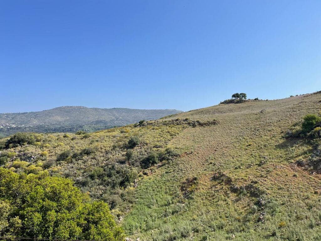 For Sale Land 35000 m² in Crete