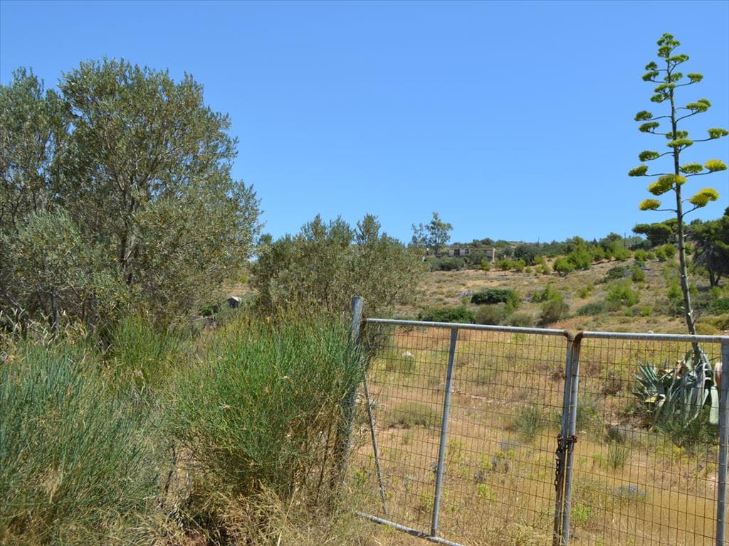 For Sale Land 7700 m² in Attica
