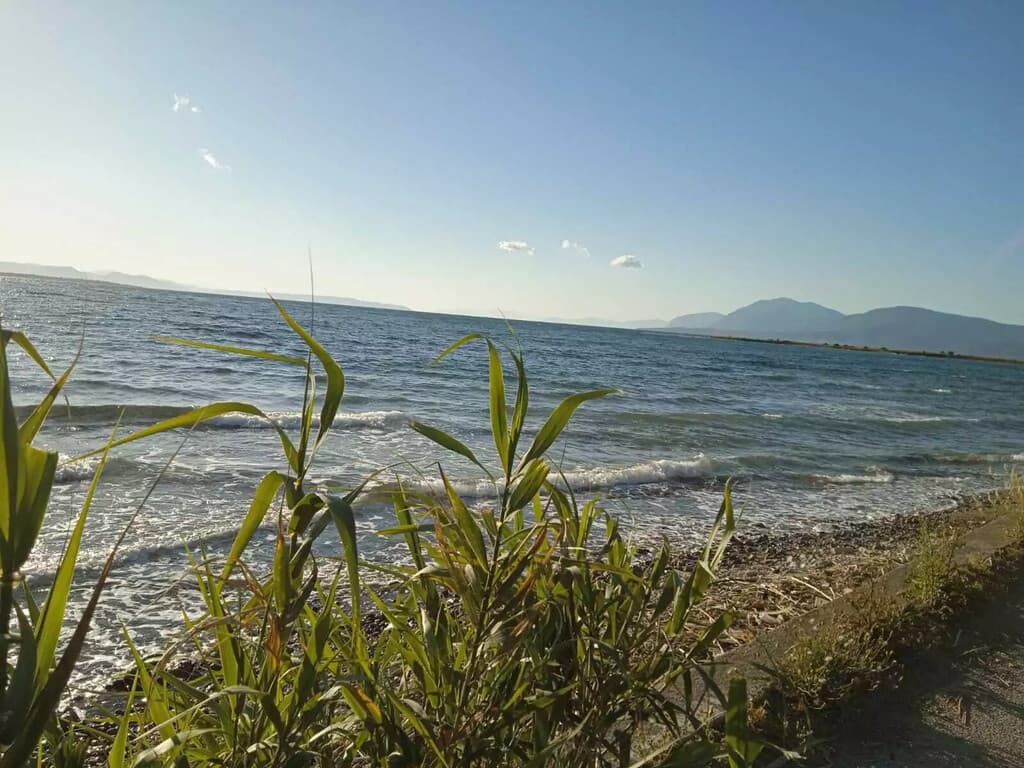 For Sale Land 2750 m² on the Euboea island
