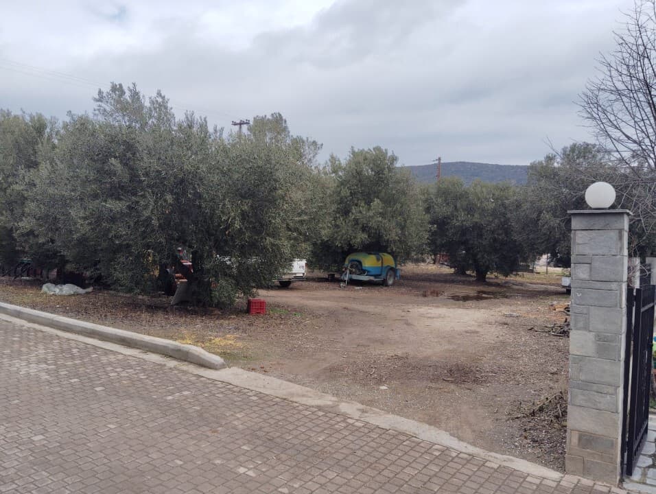 For Sale Land 1305 m² in Sithonia, Chalkidiki