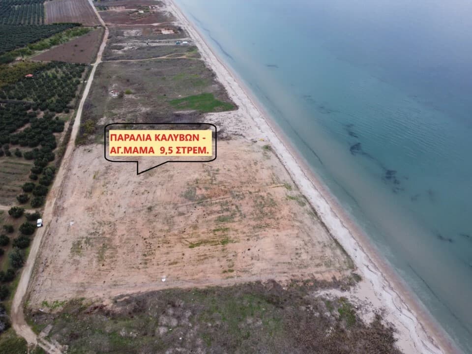 For Sale Land 9500 m² in Chalkidiki