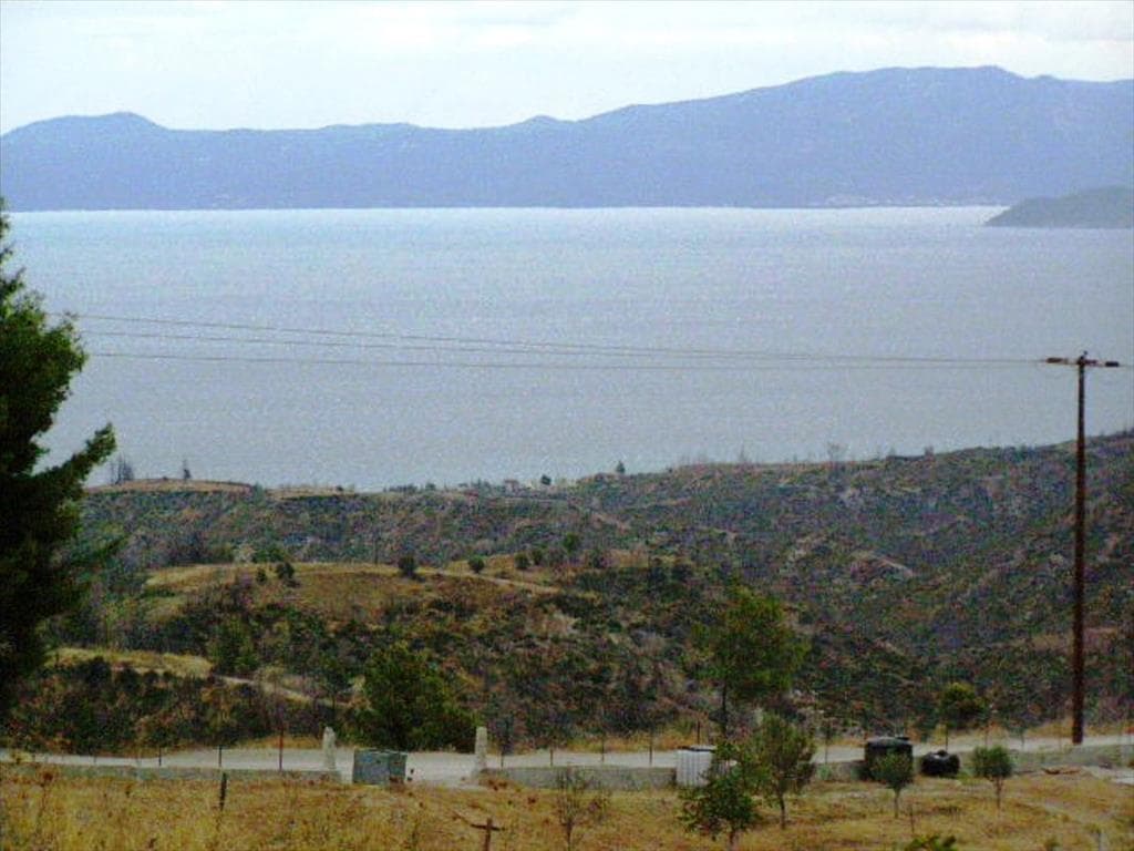 For Sale Land 15000 m² in Kassandra, Chalkidiki