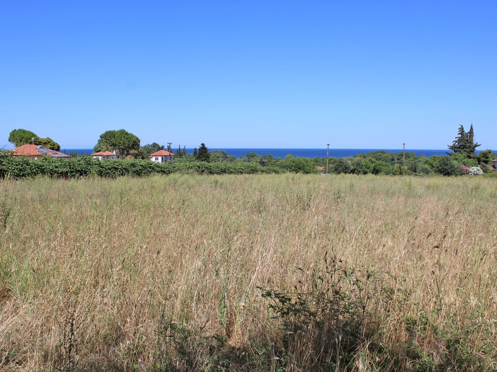 For Sale Land 5000 m² on the Olympic Coast