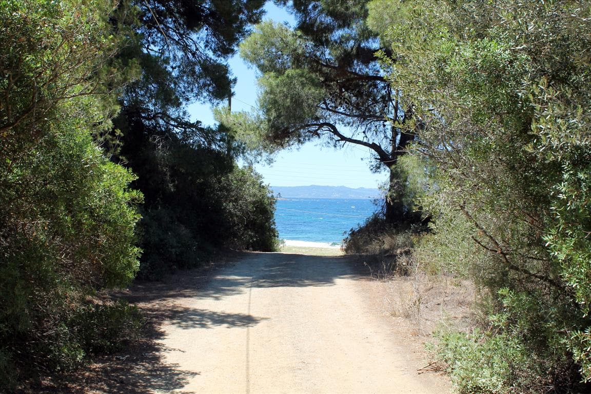For Sale Land 9000 m² in Sithonia, Chalkidiki