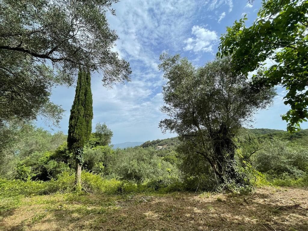 5020 m² Building Plot with Mountain Views in Corfu