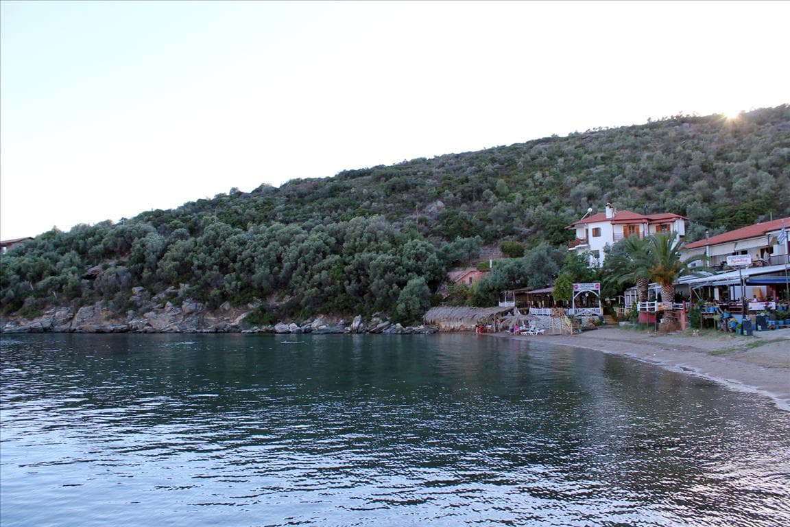 For Sale Land 10300 m² in Athos, Chalkidiki