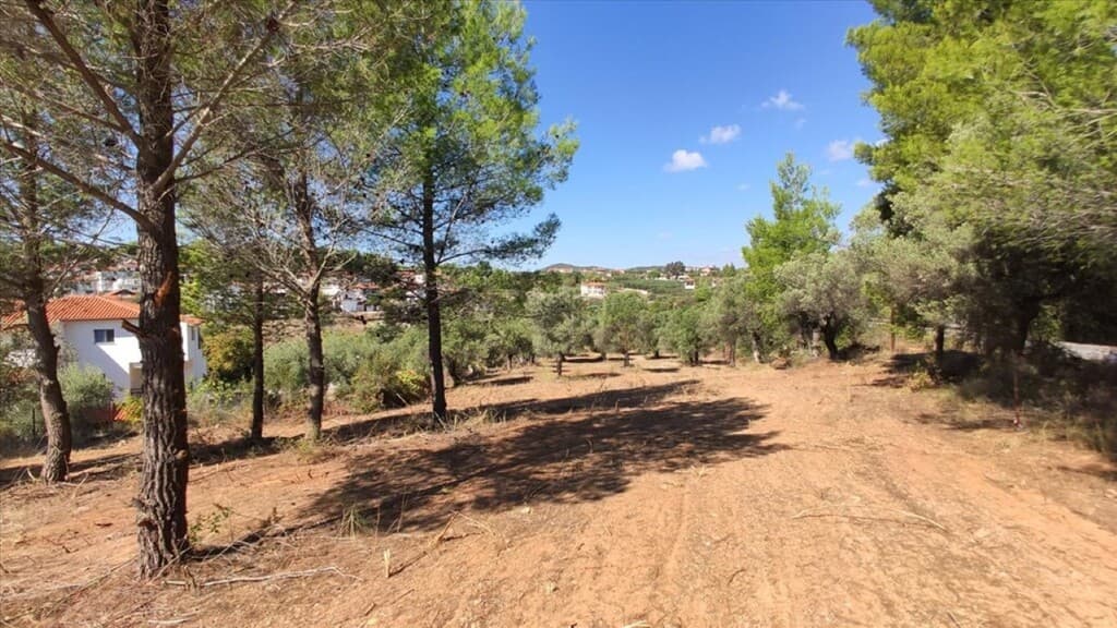 For Sale Land 3208 m² in Sithonia, Chalkidiki