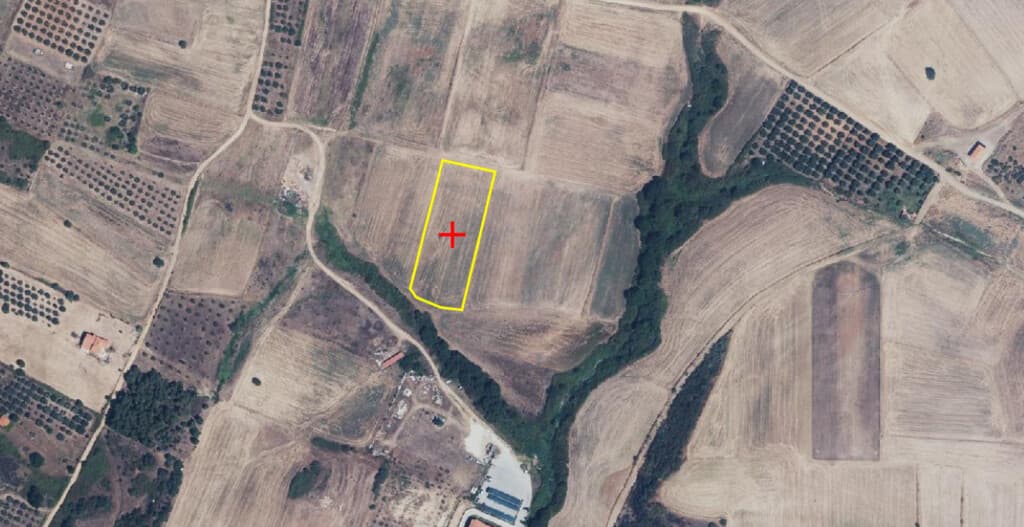 For Sale Land 4910 m² in Athos, Chalkidiki