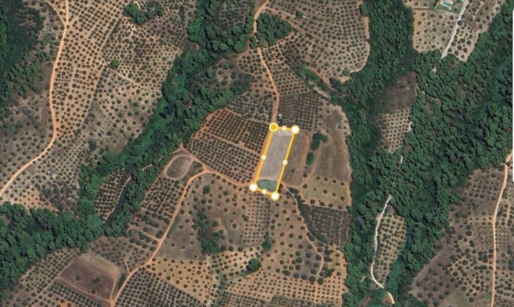 For Sale Land 4132 m² in Sithonia, Chalkidiki
