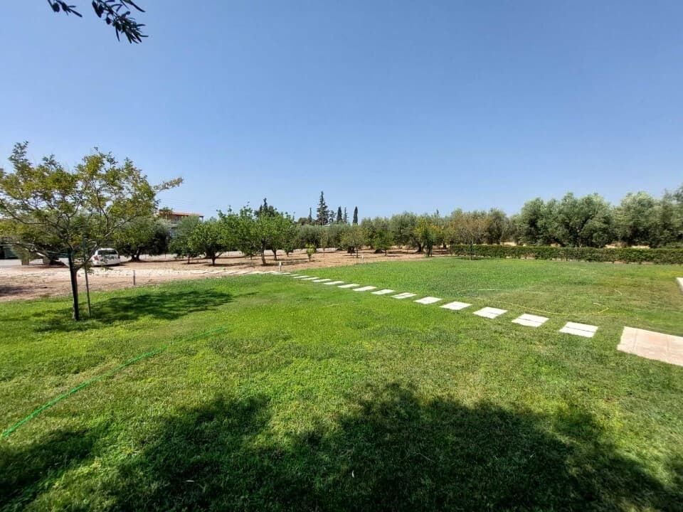 For Sale Land 19000 m² in Sithonia, Chalkidiki