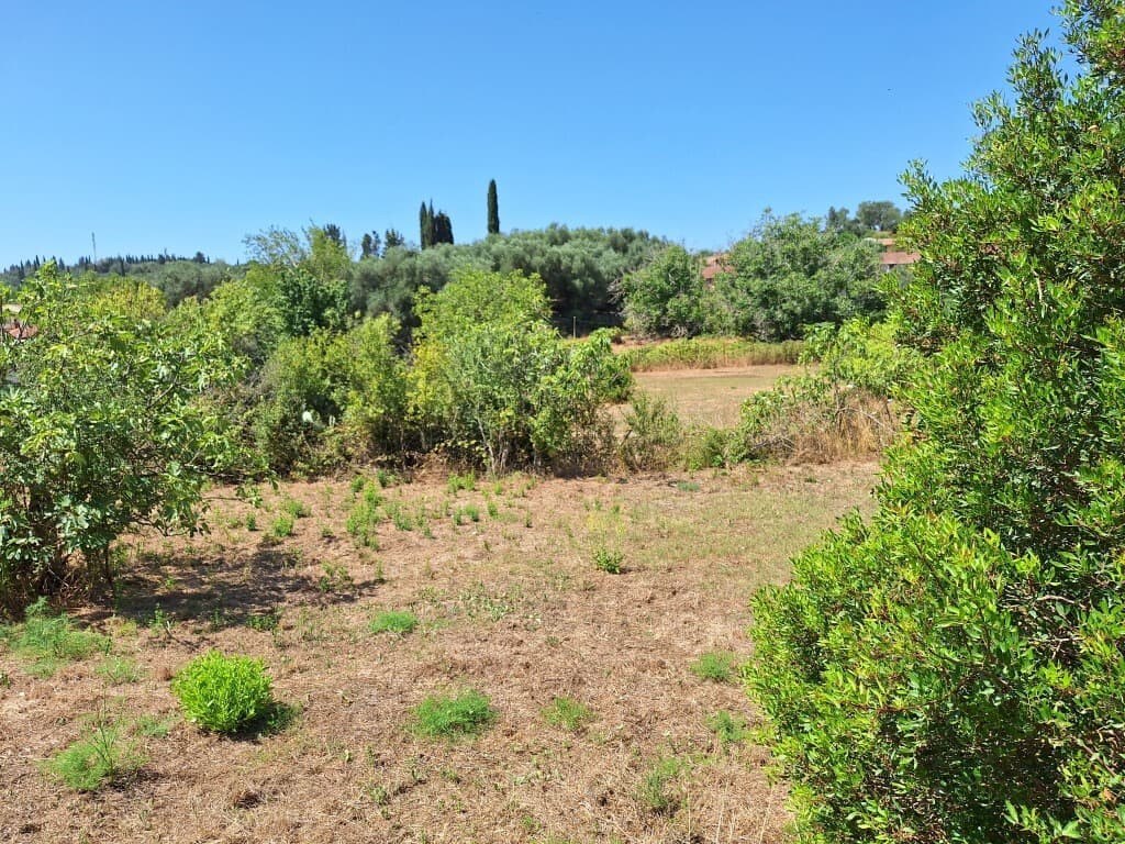 For Sale Land 2500 m² in Corfu