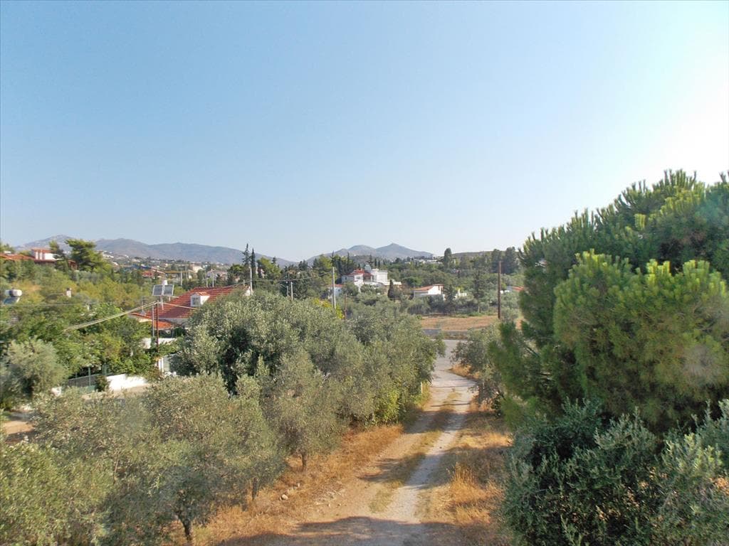 For Sale Land 3000 m² in Attica