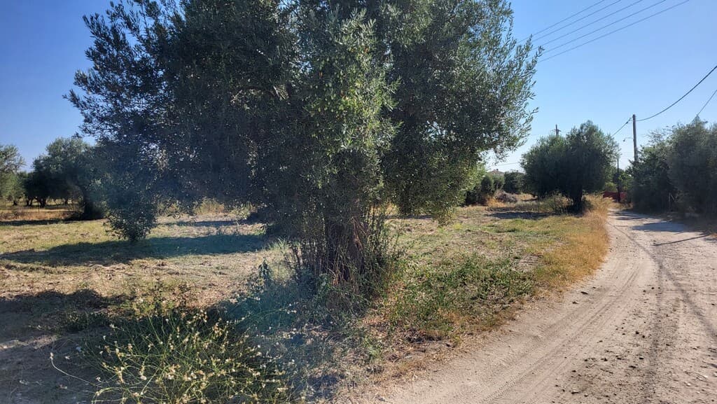 For Sale Land 3500 m² in Kassandra, Chalkidiki