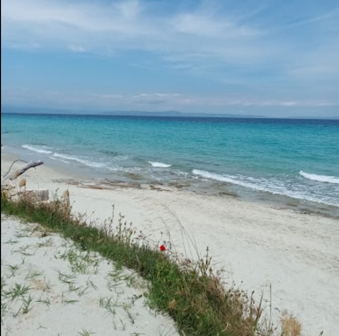 For Sale Land 1600 m² in Kassandra, Chalkidiki