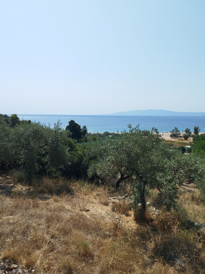 For Sale Land 4000 m² in Athos, Chalkidiki