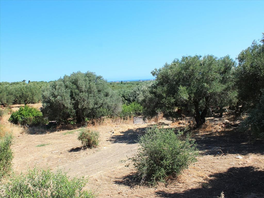 For Sale Land 2009 m² in Crete