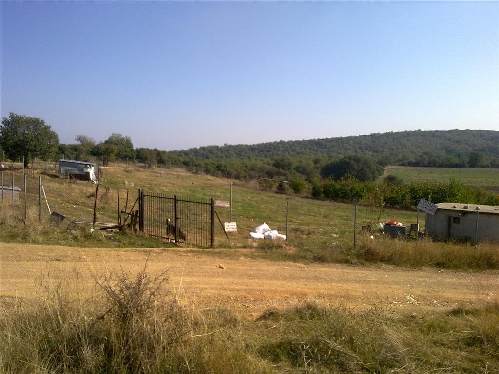 For Sale Land 7000 m² in Thessaloniki