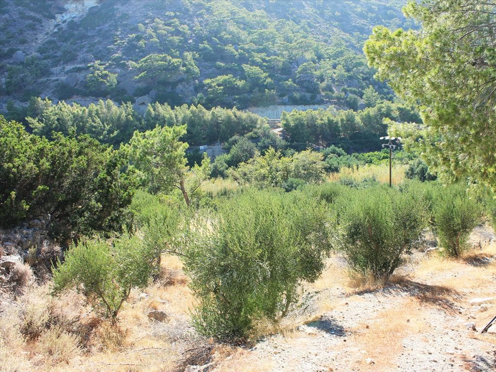 For Sale Land 4000 m² in Crete